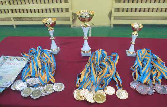 Новости Винницы и области / «Новорічні зустрічі» юних футболістів вдванадцяте пройшли у Вінниці (ФОТО) / Інформаційний портал На Париже Новини Вінниці / «Новорічні зустрічі» юних футболістів вдванадцяте пройшли у Вінниці (ФОТО)