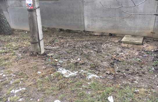 Новини Вінниці / У Вінниці продовжується полювання на «вбивць» природи та навколишнього середовища (ФОТО)