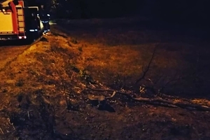 Новини Вінниці / Вінничанин, запаливши сміття, ледь не спалив усю вулицю (ФОТО)
