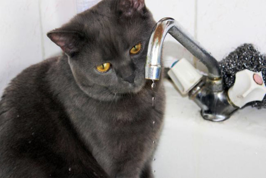 У Вінниці протягом доби залишать без води половину міста і прилеглі села / Новости Винницы и области / Інформаційний портал На Париже Новини Вінниці / У Вінниці протягом доби залишать без води половину міста і прилеглі села