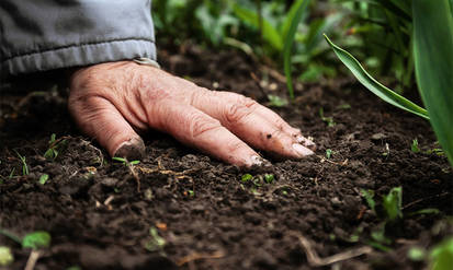 На Вінниччині колишнього сільського голову, якого вважають причетним до афер із землею колеги, можуть призначити головою РДА / Новости Винницы и области / Інформаційний портал На Парижі Новини Вінниці / На Вінниччині колишнього сільського голову, якого вважають причетним до афер із землею колеги, можуть призначити головою РДА