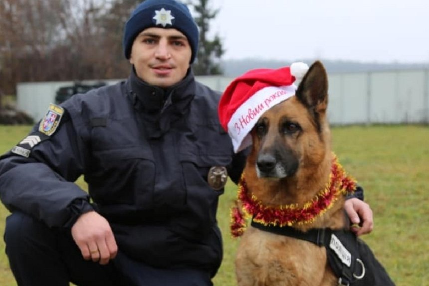 Вінничан з новим роком привітали кінологи та їхні чотирилапі напарники / Новости Винницы и области / Інформаційний портал На Париже Новини Вінниці / Вінничан з новим роком привітали кінологи та їхні чотирилапі напарники