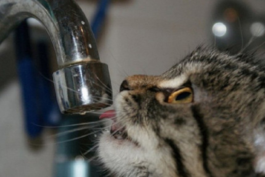 Вінничан попереджають про відключення води в окремих будинках на шести вулицях міста / Новости Винницы и области / Інформаційний портал На Париже Новини Вінниці / Вінничан попереджають про відключення води в окремих будинках на шести вулицях міста