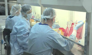 На Вінниччині 22% перевірених тестів на коронавірус показали позитивний результат / Новости Винницы и области / Інформаційний портал На Парижі Новини Вінниці / На Вінниччині 22% перевірених тестів на коронавірус показали позитивний результат