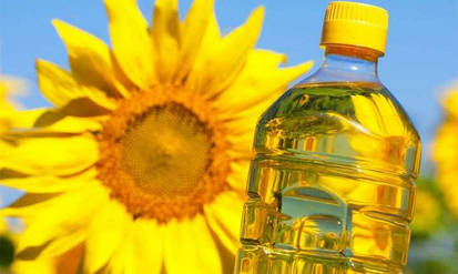 Соціально відповідальний бізнес: компанія «Ді Енд Ай Еволюшн» допомагає підприємництву та протидіє гуманітарним загрозам / Новости Винницы и области / Інформаційний портал На Парижі Новини Вінниці / Соціально відповідальний бізнес: компанія «Ді Енд Ай Еволюшн» допомагає підприємництву та протидіє гуманітарним загрозам