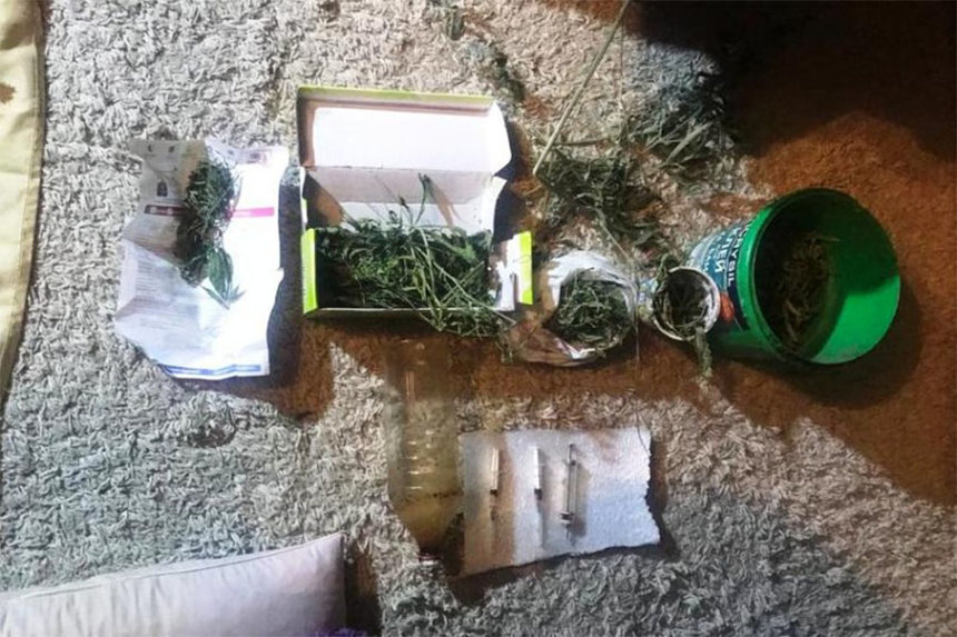 Вінничанин був змушений запросили у гості поліцейських, які у нього на балконі та в коморі знайшли плантації коноплі / Новости Винницы и области / Інформаційний портал На Париже Новини Вінниці / Вінничанин був змушений запросили у гості поліцейських, які у нього на балконі та в коморі знайшли плантації коноплі