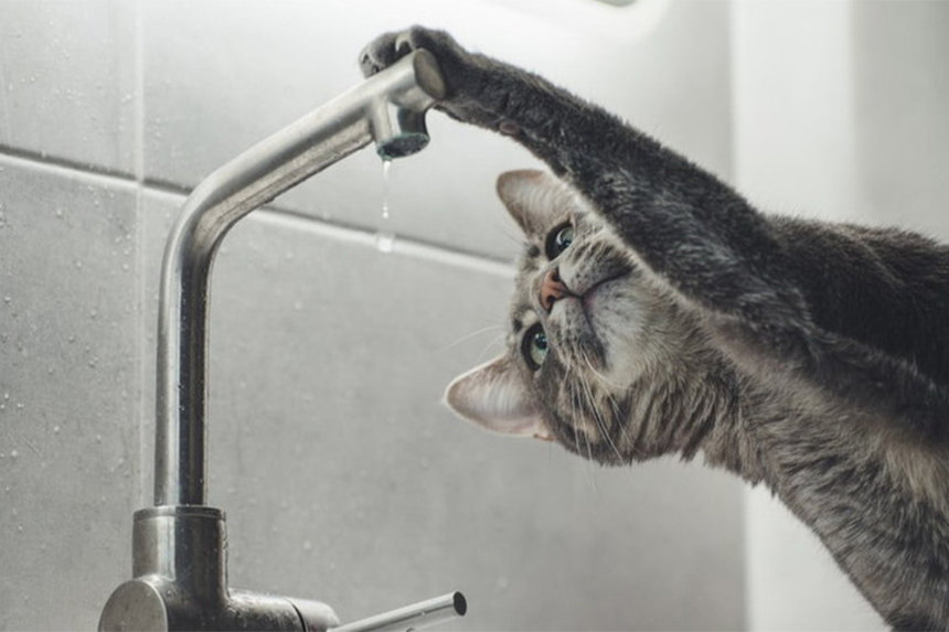 У Вінниці та передмісті через ремонт водогону на низці вулиць призупинять водопостачання / Новости Винницы и области / Інформаційний портал На Париже Новини Вінниці / У Вінниці та передмісті через ремонт водогону на низці вулиць призупинять водопостачання