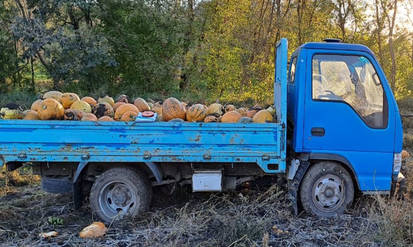 Смертельна ДТП на Вінниччині під час збору гарбузів: рухаючись заднім ходом, вантажівка наїхала на пенсіонера / Новости Винницы и области / Інформаційний портал На Парижі Новини Вінниці / Смертельна ДТП на Вінниччині під час збору гарбузів: рухаючись заднім ходом, вантажівка наїхала на пенсіонера
