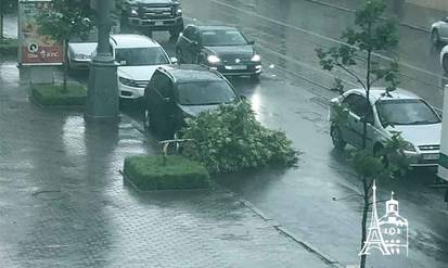 Буревій у Вінниці: шквальний вітер протягом години зламав десятки дерев / Новости Винницы и области / Інформаційний портал На Парижі Новини Вінниці / Буревій у Вінниці: шквальний вітер протягом години зламав десятки дерев