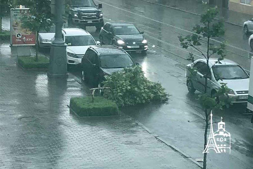 Буревій у Вінниці: шквальний вітер протягом години зламав десятки дерев / Новости Винницы и области / Інформаційний портал На Париже Новини Вінниці / Буревій у Вінниці: шквальний вітер протягом години зламав десятки дерев